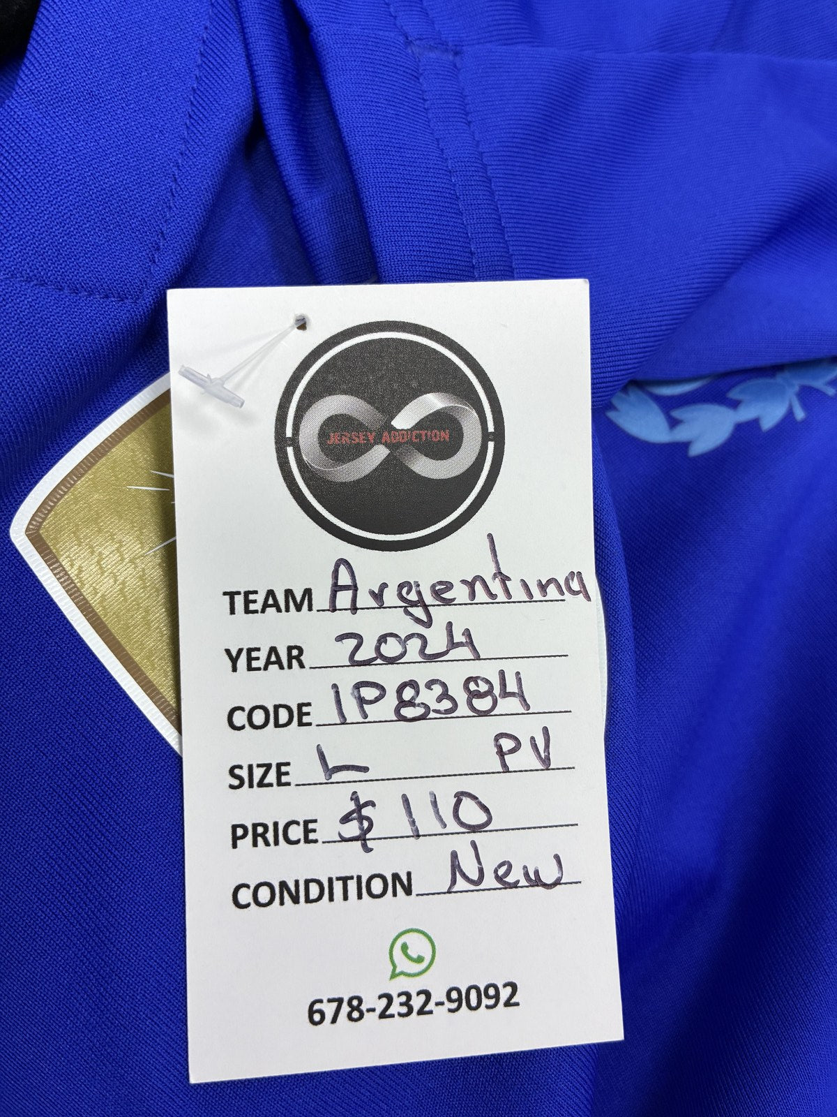 2024 Argentina Player Version Home Jersey