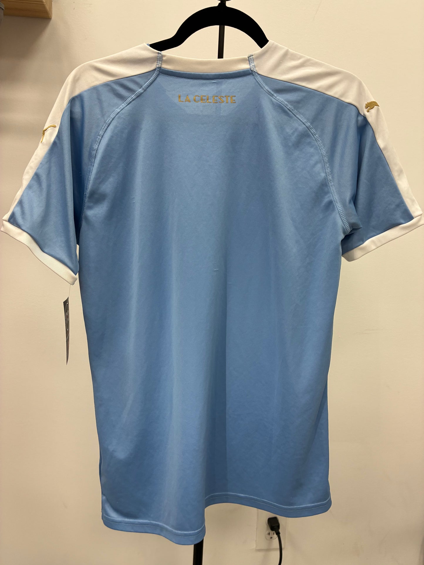 2019 Uruguay Home Jersey / Medium / 8/10